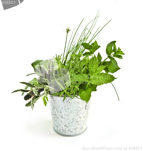 Image of Fresh herbs