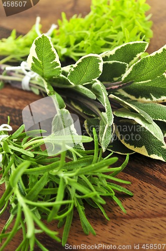 Image of Bunches of fresh herbs
