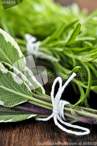 Image of Bunches of fresh herbs