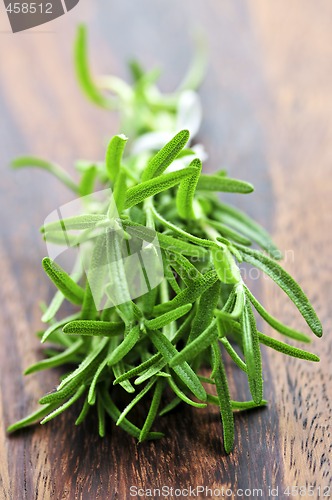 Image of Bunch of fresh rosemary