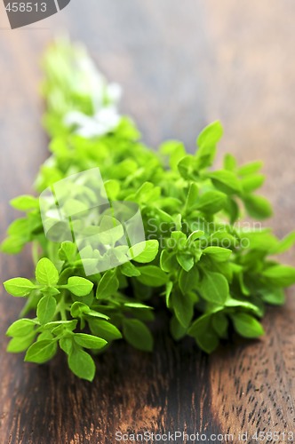 Image of Bunch of fresh oregano