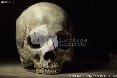 Image of Skull of the reaper closeup photo