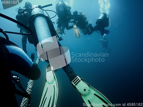 Image of Scuba divers ascending to the surface