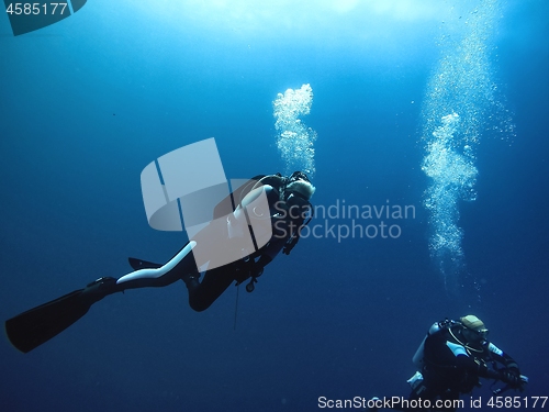 Image of Scuba divers ascending to the surface