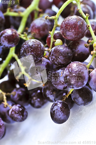 Image of Red grapes