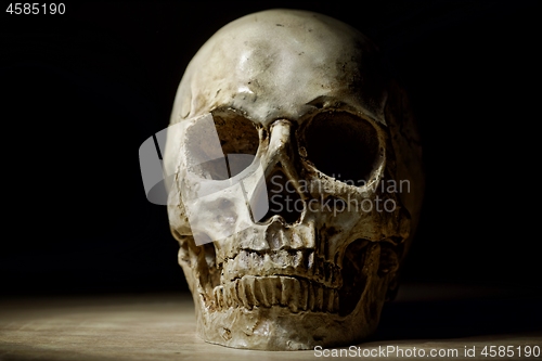 Image of Skull of the reaper closeup photo