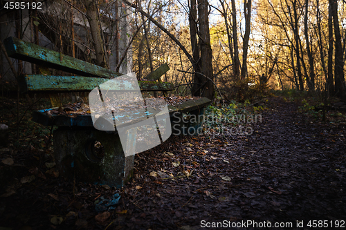 Image of Old destroyed bench next to path