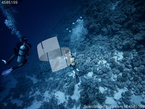 Image of Scuba diver descending to the bottom