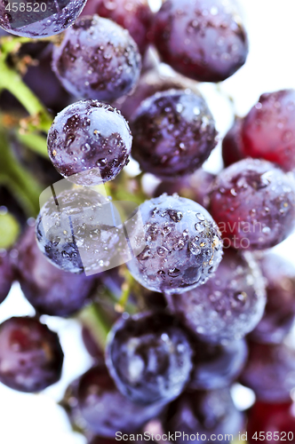 Image of Red grapes