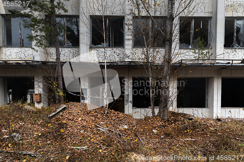 Image of Abandoned building reclaimed by nature