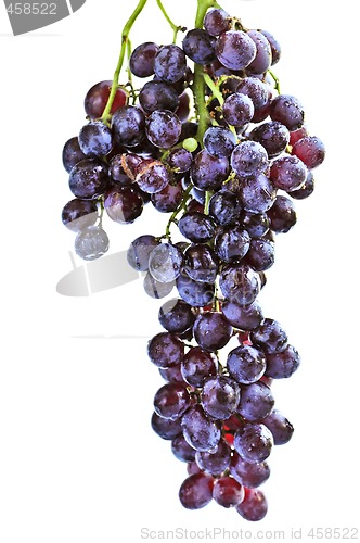 Image of Red grapes