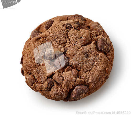 Image of chocolate cookie on white background