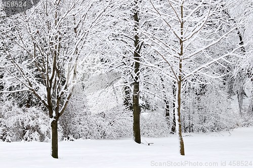 Image of Winter park landscape