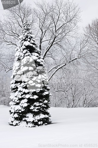 Image of Winter park landscape