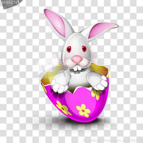 Image of Bunny in a pink egg shell with transparency