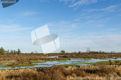 Image of Flooded plain grassland with a dry stone wall