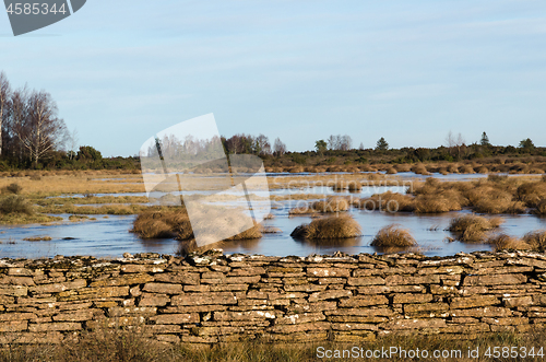 Image of Flooded land with grass tufts