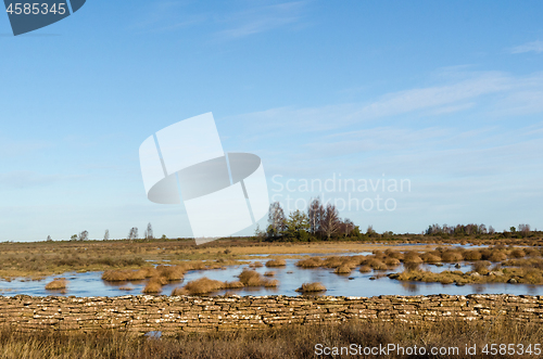 Image of Flooded landscape by an old dry stone wall  