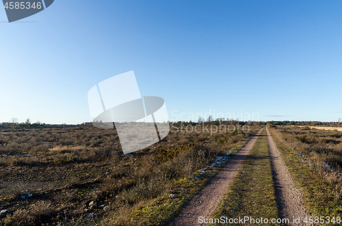 Image of Straight gravel road through a plain grassland