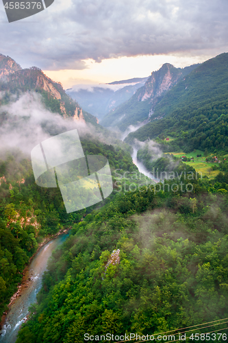 Image of Canyon in city Zabljak