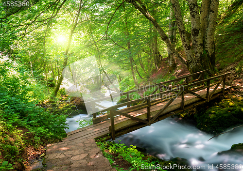 Image of Tara springs park