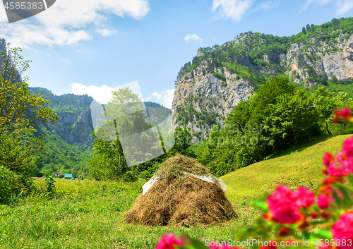 Image of Meadow and haystack