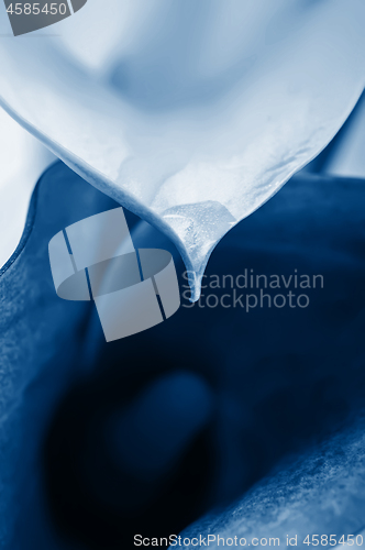 Image of Macro of two calla flowers