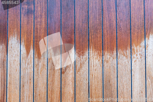 Image of Wet Wood Terrace