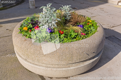 Image of Concrete Flower Pot