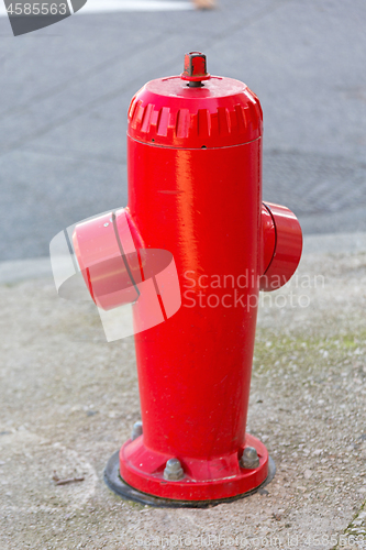 Image of Red Fire Hydrant