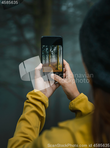 Image of Taking a picture to a forest