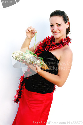 Image of Isolated Christmas portrait 