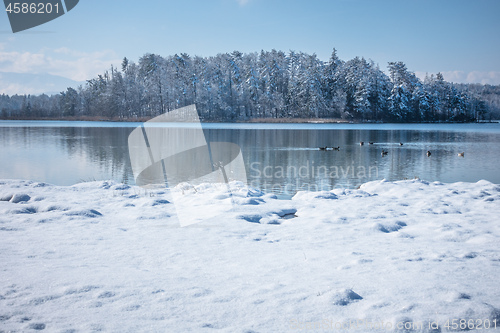 Image of Lake Osterseen Bavaria Germany winter scenery