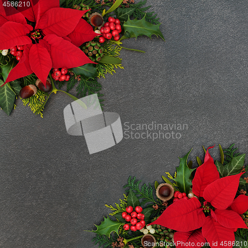 Image of Poinsettia Flower Thanksgiving Border