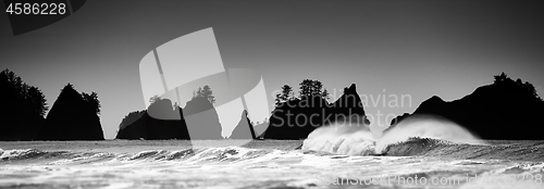 Image of Pacific Coast Seascape