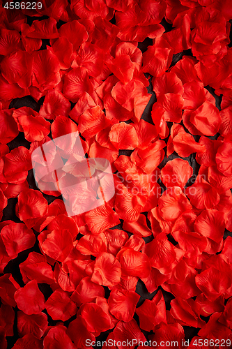 Image of Background of beautiful red rose petals. Top view