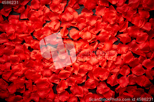 Image of Background of beautiful red rose petals. Top view