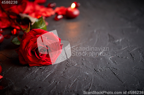 Image of Red rose, petals, candles, dating accessories, boxed gifts, hearts, sequins