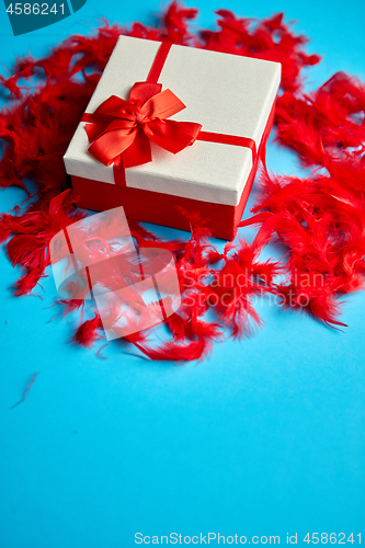 Image of Box with a gift, tied with a ribbon placed on red feathers