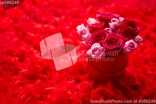 Image of Pink roses packed in box and placed on red feathers background w