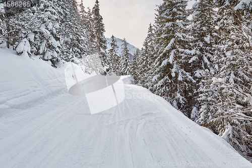 Image of Winter Snowy Mountain Landscape