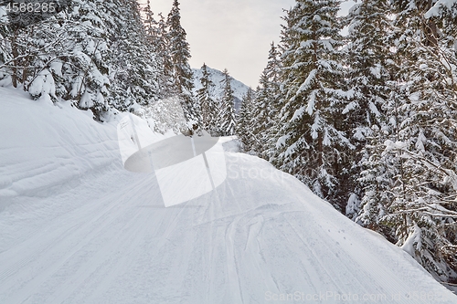 Image of Winter Snowy Mountain Landscape