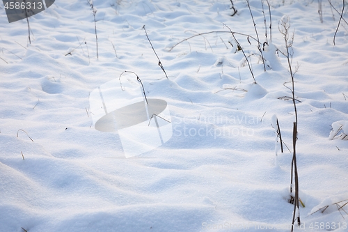 Image of Fresh snow winter field background