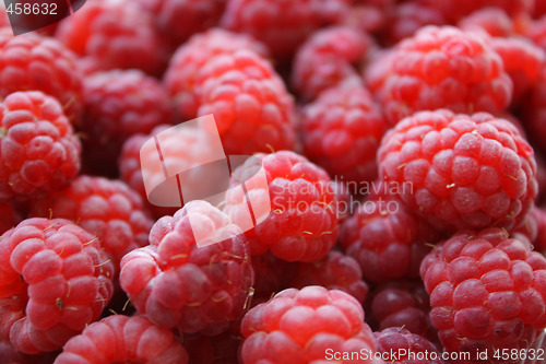 Image of Raspberry