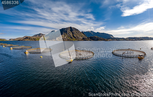 Image of Farm salmon fishing in Norway