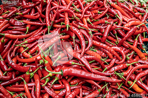 Image of Red Chilli Background. India Ingredient for Sale in Market