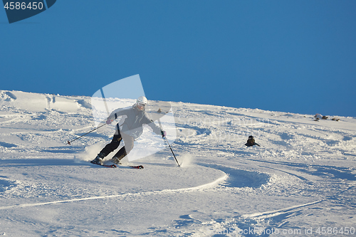 Image of Skiing in fresh powder snow