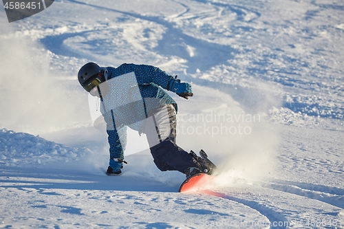 Image of Snowboarding in fresh powder snow