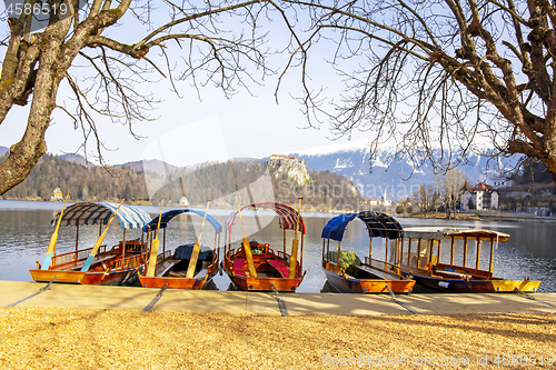 Image of Traditional wooden boats on Lake Bled in Slovenia