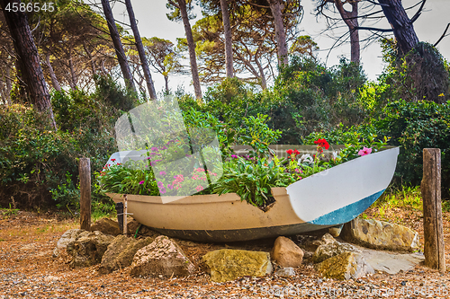 Image of Boat with flowers in the forest